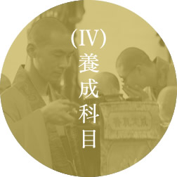 (Ⅳ)養成科目